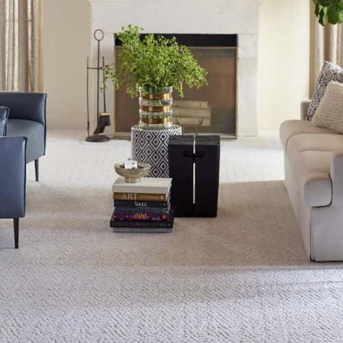 Living Room Pattern Carpet - CarpetsPlus COLORTILE of Winnsboro in Winnsboro, TX