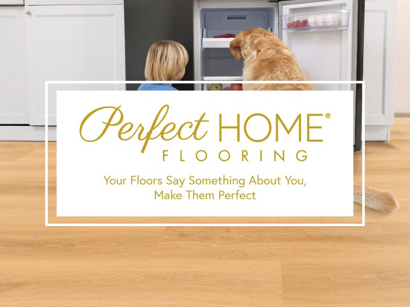 Perfect home carpet at CarpetsPlus COLORTILE of Winnsboro in Winnsboro, TX